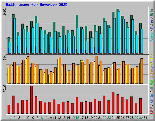 Daily usage for November 2025