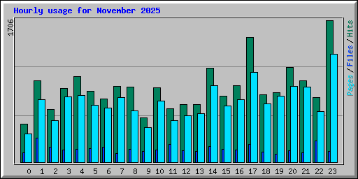 Hourly usage for November 2025