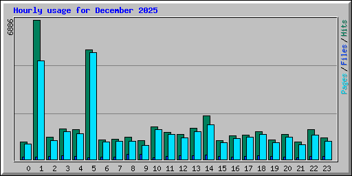 Hourly usage for December 2025