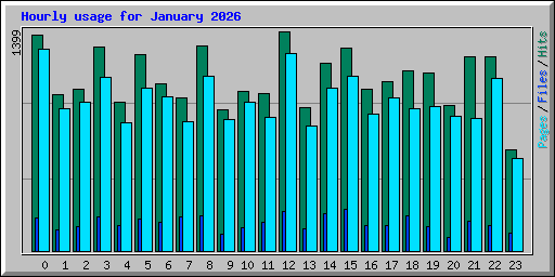 Hourly usage for January 2026
